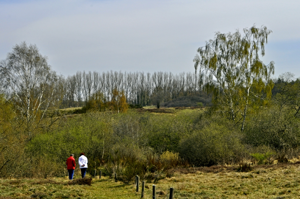 Hellberge (bei Franzburg)